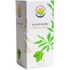 Ginko dvojlaločné - 20 x 1,5 g - čajové sáčky - Ginkgo biloba