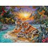 Norimpex Diamantové maľovanie Tigria rodinka 30 x 40 cm
