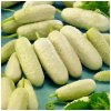 BIO uhorka poľná White Wonder - Cucumis sativus - bio semená uhorky - 10 ks