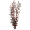 BiOrb Sea Fan karmínová 49 cm