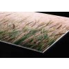 DIMEX | Plexisklo za kuchynskú linku PGT-08060-136 | 80 x 60 cm Pšeničné pole + Plexisklo za kuchynskú linku DIMEX v rozmere 80 x 60 cm, Pšeničné pole + Lepidlo zadarmo
