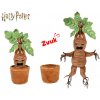 Harry Potter Mandragora