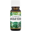 Saloos Kúzlo Vianoc - zmes éterických olejov 10ml
