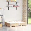 vidaXL Paletová ohrádka 150x100 cm borovicový masív 4010301