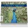 Zvířata v ZOO 2026 - stolní kalendář - autor neuvedený