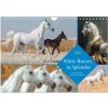 White Horses in Splendor Wall DIN A4 landscape CALVENDO 12 Month Wall 2025