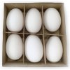 Prírodné husacie vajcia vyfúknuté 6ks cca 8cm - biele