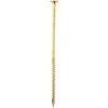 DOMAX Konštrukčný vrut CT s tanierovou hlavou TORX T40 8 x 300 mm pozinkovaný 50 ks