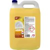 LAVON na riady Lemon Plus, 5 l