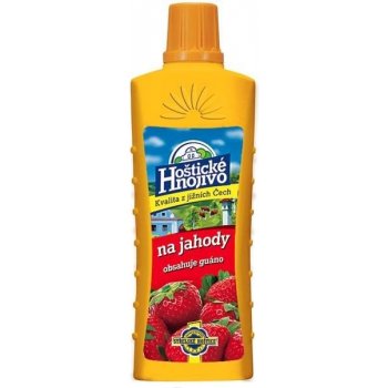 Forestina Jahody 500 ml