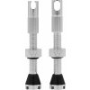 Ventily Peaty's MK2 Tubeless Valves 42 mm silver 42 mm - Odosielame do 24 hodín