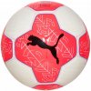 FUTBALOVÁ LOPTA PRESTIGE BALL 5 PUMA