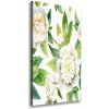 Vertikálny moderný obraz canvas na ráme Pivonka 50x100 cm