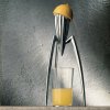 Alessi Juicy Salif