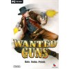 Wanted Guns