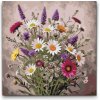 Vymalujsisam.sk Kytica lúčnych kvetov Veľkosť 50 x 50 cm Rám Na kartónovej doske