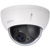 DAHUA SD22404DB-GNY