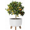 MAKRO - Kvetináč Gracia 24cm biely