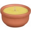 Nohel Garden citronella 7 cm