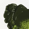 OLEJOVÁ FARBA - WINSOR & NEWTON - WINTON - 200 ML | SAP GREEN