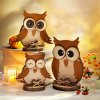 Weltbild Weltbild Drevená dekorácia Sova, sada 3 ks