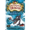 How to Train Your Dragon: How to Ride a Dragons Storm (Cowell Cressida)