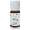 Hanus Eukalyptová silica, 10 ml