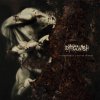 Dying Wish: Fragments Of A Bitter Memory (Coloured Vinyl) - Vinyl (LP)