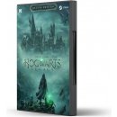 Hogwarts Legacy (Deluxe Edition)