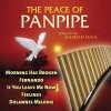 The Peace Of Panpipe Vol. 10 (CD) (Damian Luca)