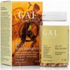 GAL UC-II Chrupavkový-komplex (60 kapsúl) 25g