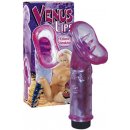 Venus Lips