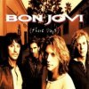Bon Jovi - These Days / Vinyl / 2LP [2 LP]