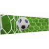 Futbalová lopta v sieti - obraz (Obraz 170x50cm)