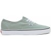 Vans Skate obuv Authentic Zelená
