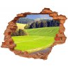 Diera 3D foto tapeta Špinavá cesta 90x70 cm