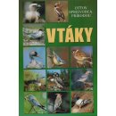 Vtáky