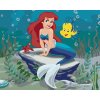 zuty Maľovanie podľa čísel - Malá morská víla, 50x40 cm, vypnuté plátno na rám (8596530042136)