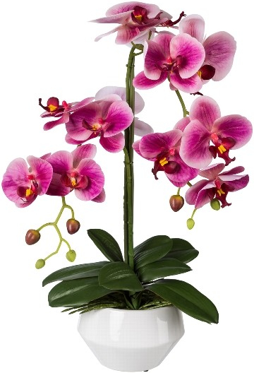 Orchidea ružová v kvetináči, 52cm