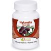 Natural Pharm Hylandia dockrillii Blushwood 100 a 200 tabliet 100 tabliet
