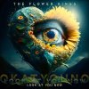 Flower Kings: Look At You Now (Limited Edition) - CD
