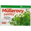 Dr. Müller Müllerovy pastilky s břečťanem 24 ks