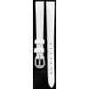 Condor 241R09W10