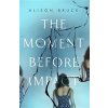 Moment Before Impact (Bruce Alison)