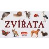 Zvířata