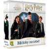 Dosková hra Harry Potter: Mdloby na teba! (5425016926437)