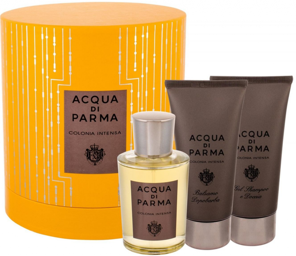 Acqua Di Parma Colonia Intensa kolínska voda pánska 100 ml