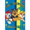 Sportswear Express Detská deka Paw Patrol Help