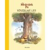 Medvídek Pú - Kouzelný les - Kolektiv