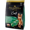 PROSPERA PLUS Adult 1+ Chicken Optimal Wellness krmivo pre mačky 1 kus, Hmotnosť balenia (g): 2 kg